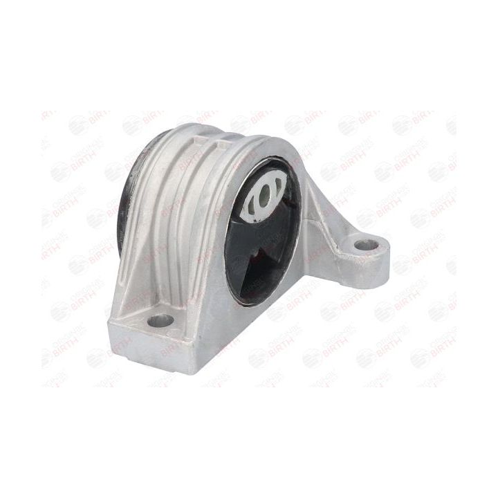 Variklio montavimas BIRTH 50863