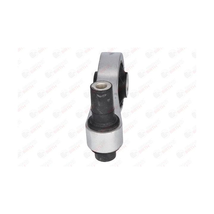 Variklio montavimas BIRTH 50949