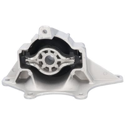 Variklio montavimas BIRTH 50978