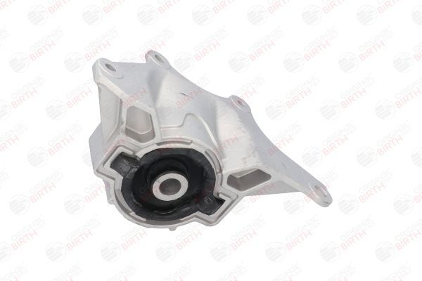 Variklio montavimas BIRTH 50978