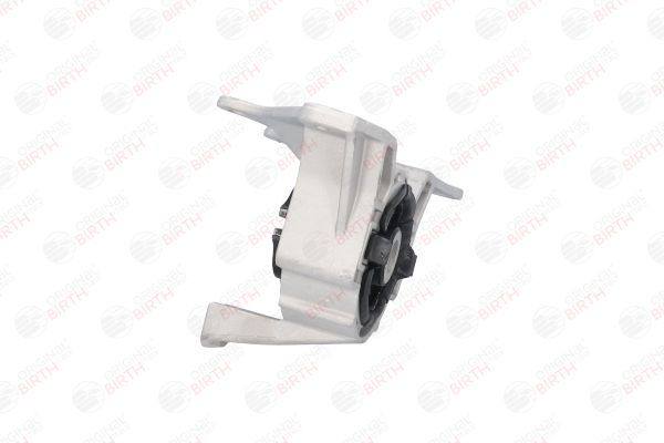 Variklio montavimas BIRTH 50978