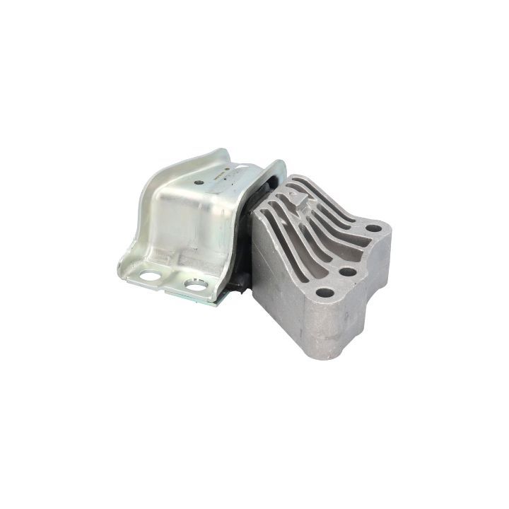 Variklio montavimas BIRTH 5099