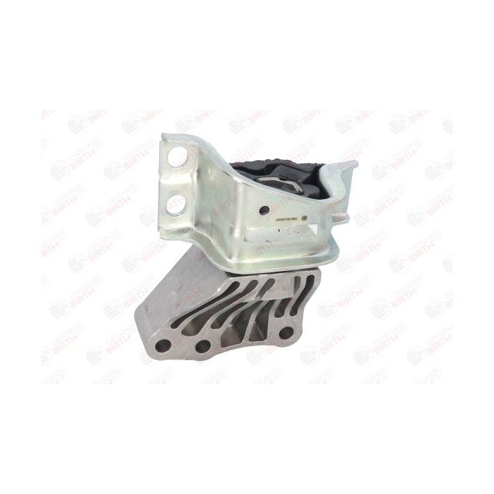 Variklio montavimas BIRTH 5099