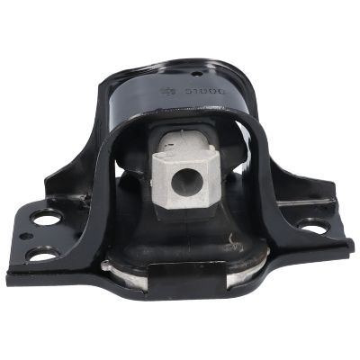 Variklio montavimas BIRTH 51000