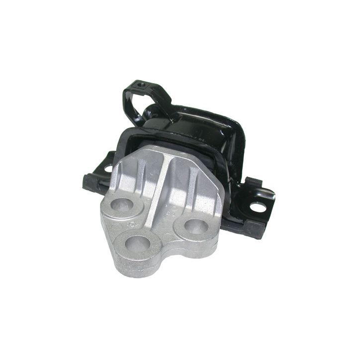 Variklio montavimas BIRTH 51001