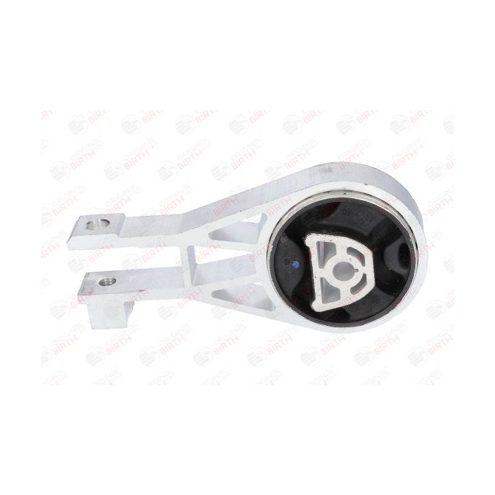 Variklio montavimas BIRTH 51002