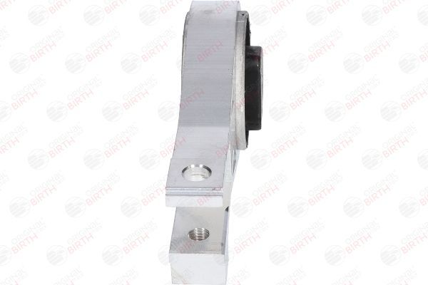 Variklio montavimas BIRTH 51002