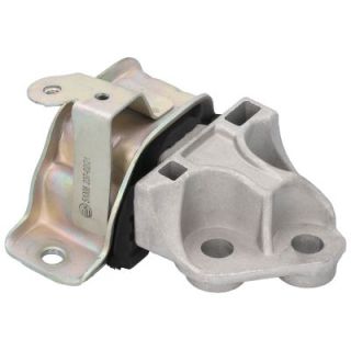 Variklio montavimas BIRTH 51008