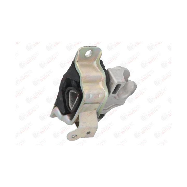 Variklio montavimas BIRTH 51008