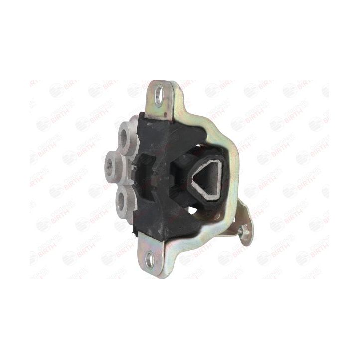 Variklio montavimas BIRTH 51008