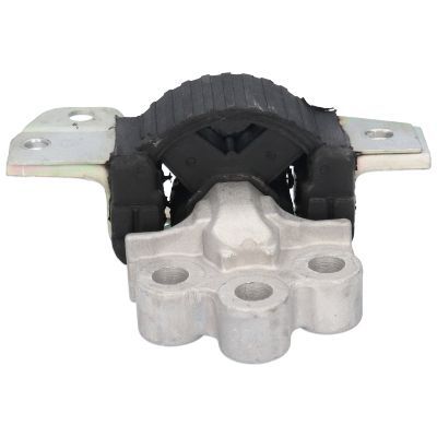 Variklio montavimas BIRTH 51010