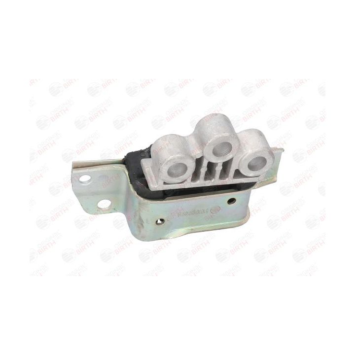 Variklio montavimas BIRTH 51010