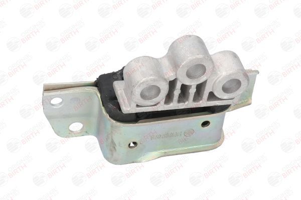 Variklio montavimas BIRTH 51010