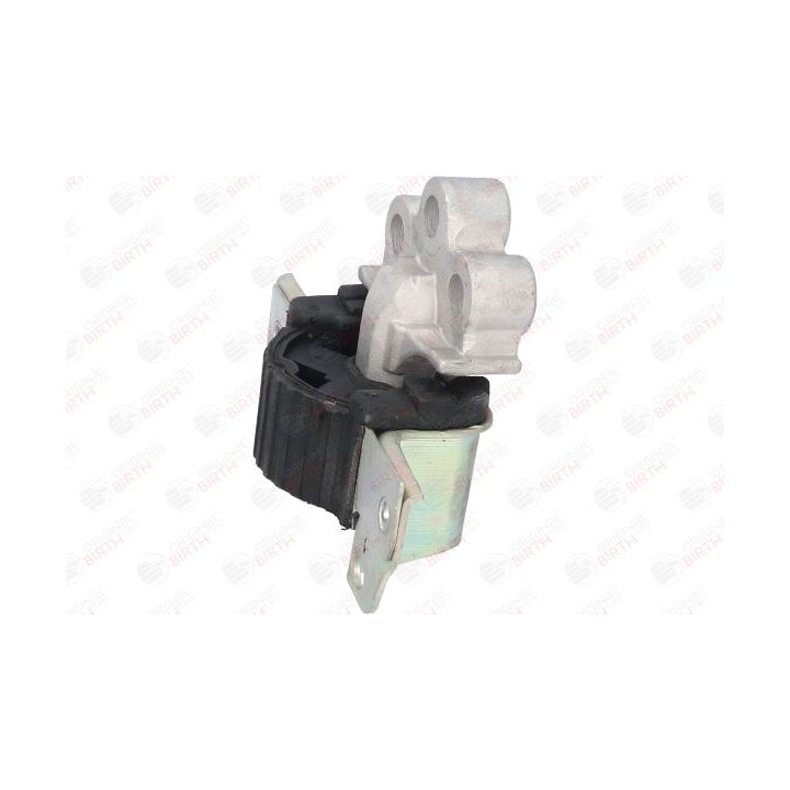 Variklio montavimas BIRTH 51010