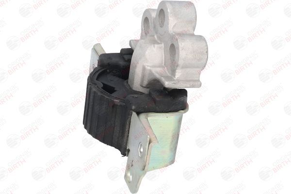 Variklio montavimas BIRTH 51010