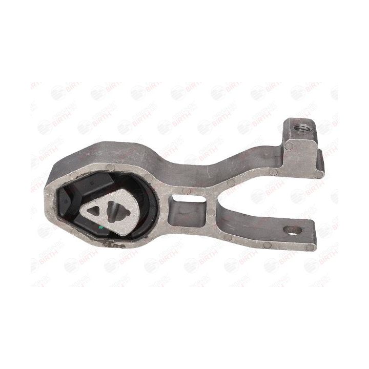 Variklio montavimas BIRTH 51011