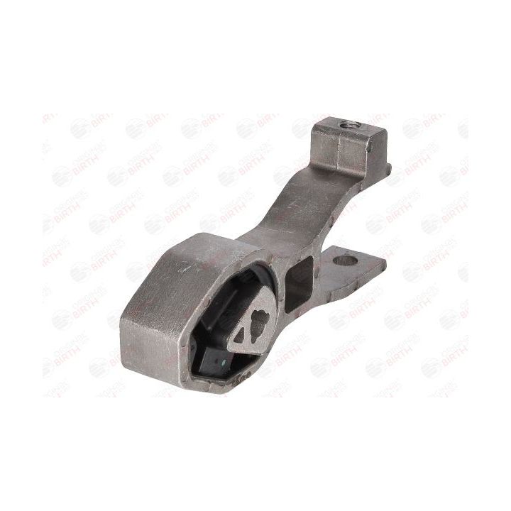 Variklio montavimas BIRTH 51011