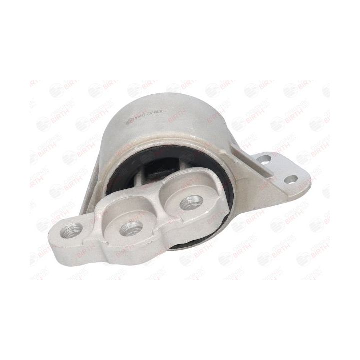 Variklio montavimas BIRTH 51012