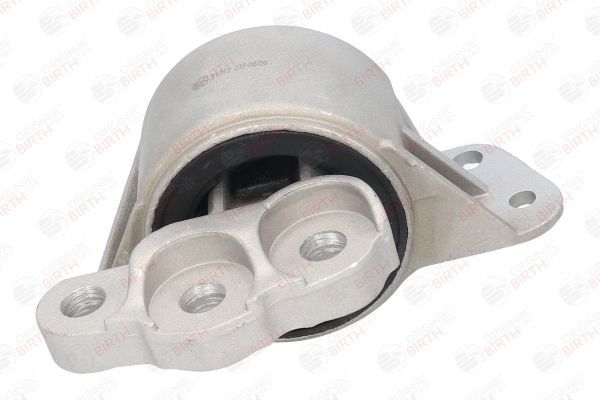 Variklio montavimas BIRTH 51012