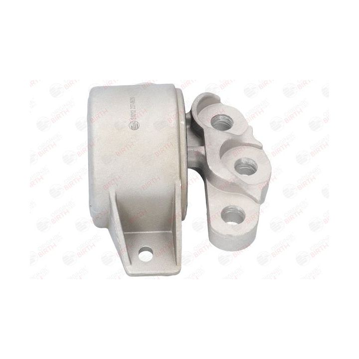 Variklio montavimas BIRTH 51012