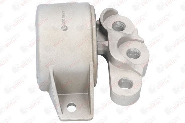 Variklio montavimas BIRTH 51012