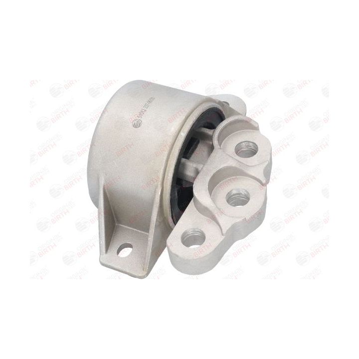 Variklio montavimas BIRTH 51012