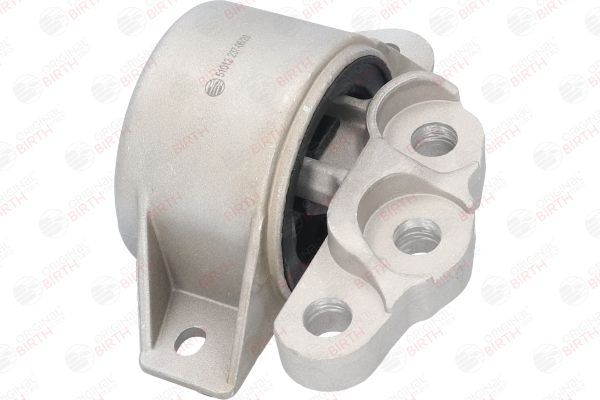 Variklio montavimas BIRTH 51012