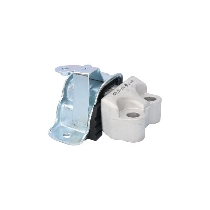 Variklio montavimas BIRTH 51014