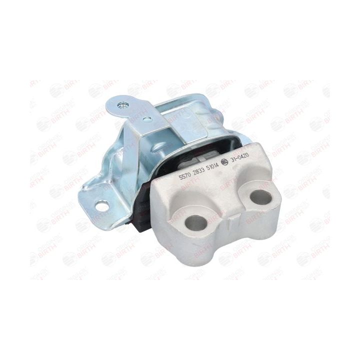 Variklio montavimas BIRTH 51014