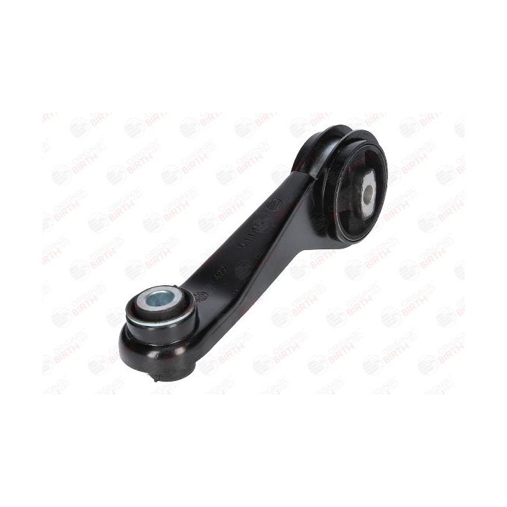 Variklio montavimas BIRTH 51145