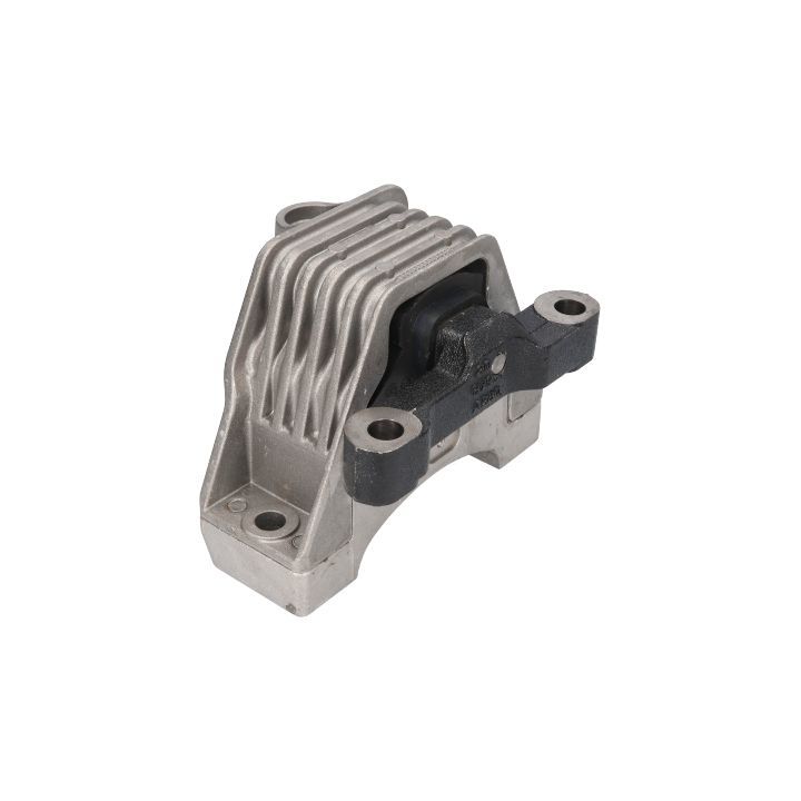 Variklio montavimas BIRTH 51233