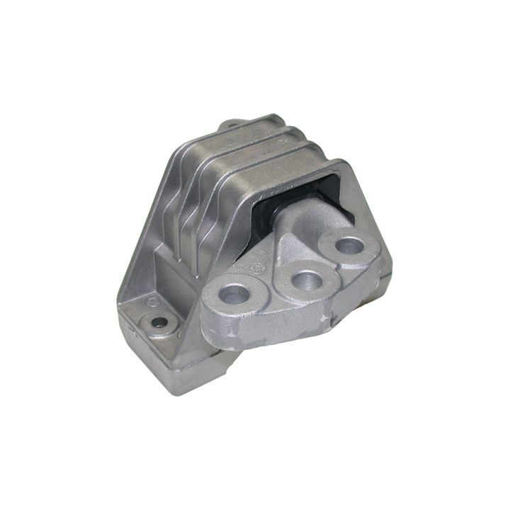 Variklio montavimas BIRTH 51234