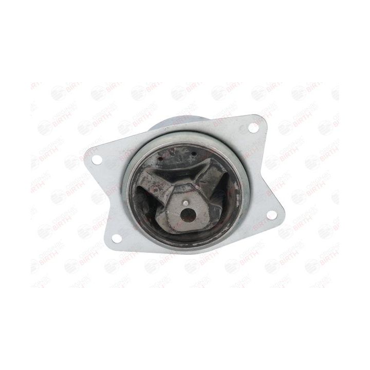 Variklio montavimas BIRTH 51237