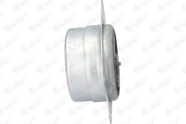 Variklio montavimas BIRTH 51237