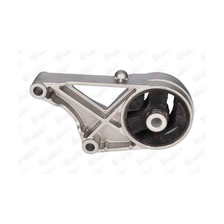 Variklio montavimas BIRTH 51238