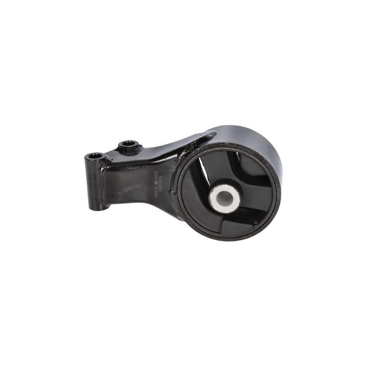 Variklio montavimas BIRTH 51241