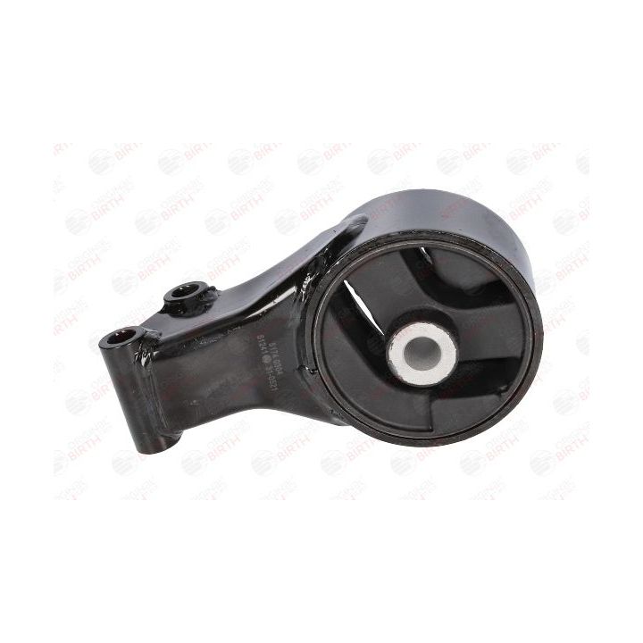 Variklio montavimas BIRTH 51241