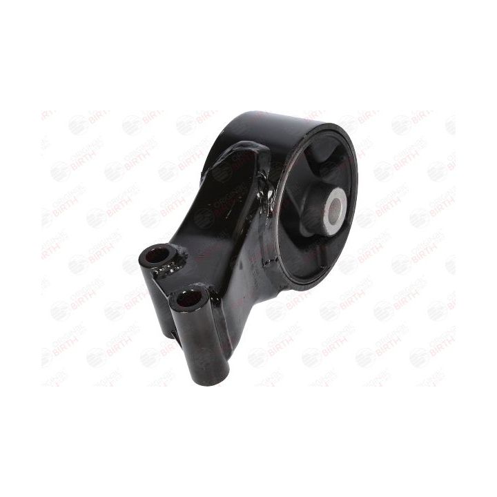 Variklio montavimas BIRTH 51241