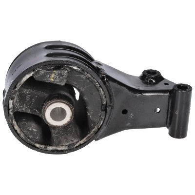 Variklio montavimas BIRTH 51248