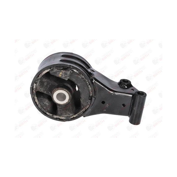 Variklio montavimas BIRTH 51248