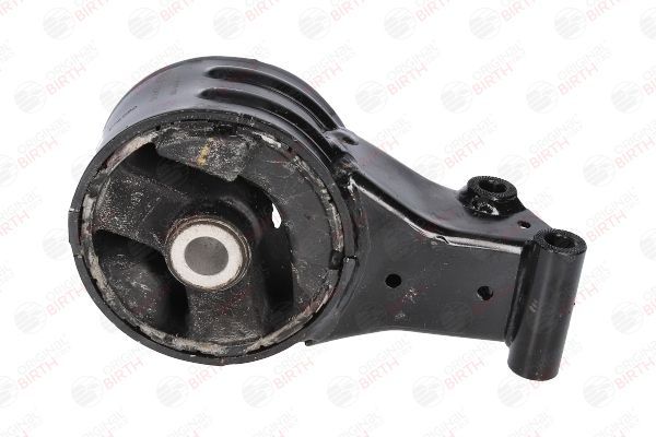 Variklio montavimas BIRTH 51248