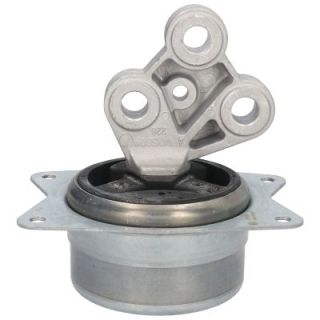 Variklio montavimas BIRTH 51257