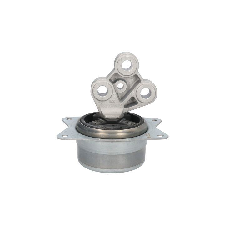 Variklio montavimas BIRTH 51257