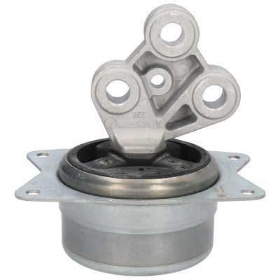 Variklio montavimas BIRTH 51257