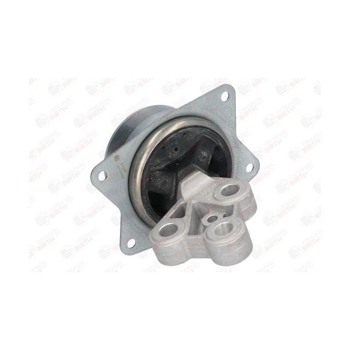 Variklio montavimas BIRTH 51257