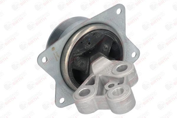 Variklio montavimas BIRTH 51257