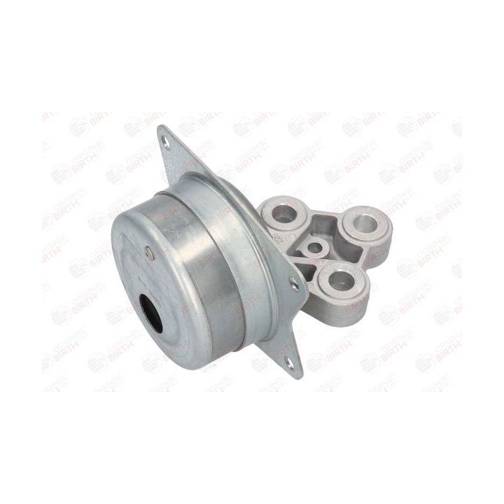 Variklio montavimas BIRTH 51257