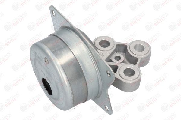 Variklio montavimas BIRTH 51257