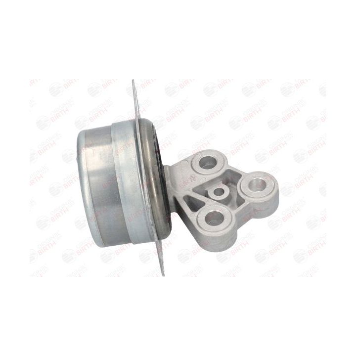 Variklio montavimas BIRTH 51257