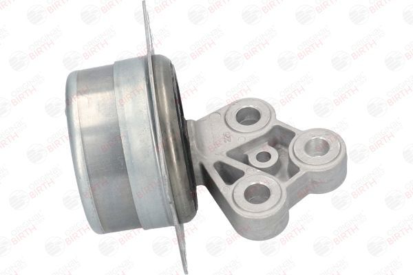 Variklio montavimas BIRTH 51257